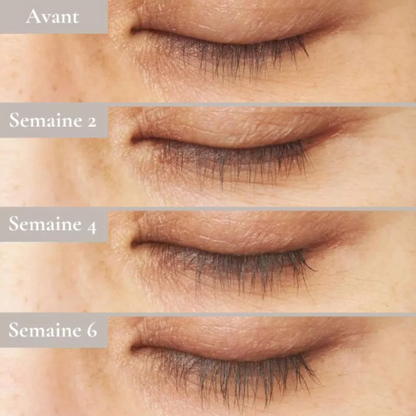Progression de la pousse des cils de la semaine 2 à la semaine 6 avec le sérum NutriCils.